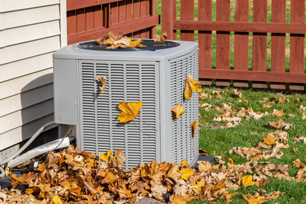Best Ductless HVAC Repair  in Mount Pulaski, IL